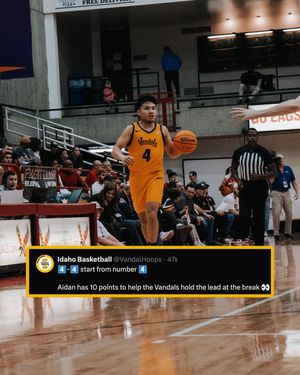 Image post by @vandalhoops on Instagram