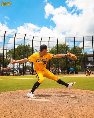 Image post by @thecanesbb on Instagram