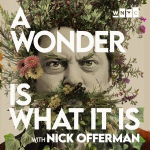 Image post by @nickofferman on Instagram