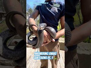 Video post by @pennstate on YouTube