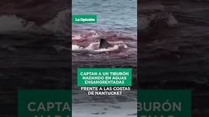 Video post by @laopinionla on YouTube