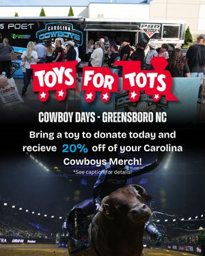 Image post by @carolinacowboyspbr on Instagram
