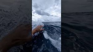 Video post by @aliaboutine on YouTube