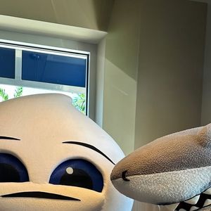 Image post by @nsusharks on Instagram