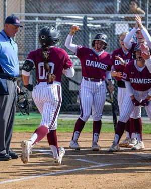 Image post by @siu_softball on Instagram
