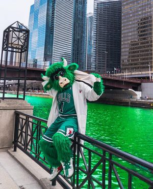 Image post by @bennythebull on Instagram