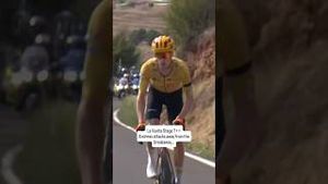 Video post by @veloncc on YouTube