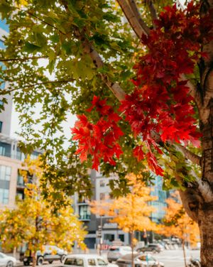Image post by @mplsdtparks on Instagram