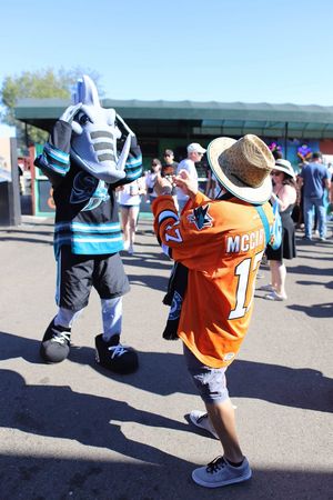Image post by @sjbarracuda on Twitter/X