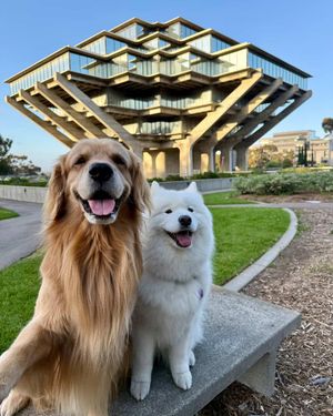 Image post by @ucsandiego on Instagram