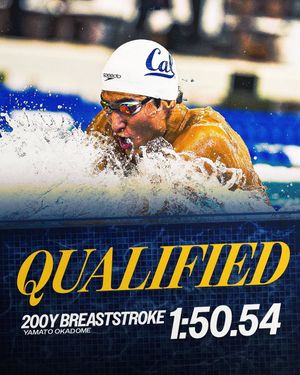 Image post by @calmenswim on Instagram