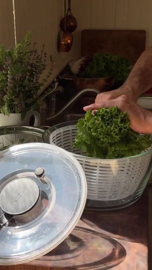 Video post by @oxo_us on TikTok