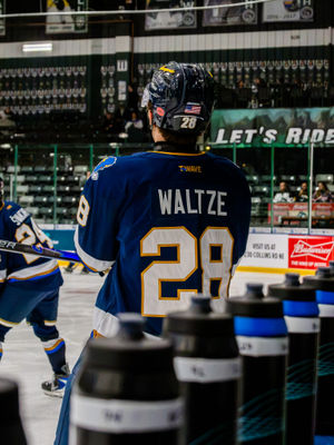 Image post by @sfstampede on Instagram