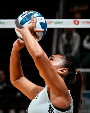 Image post by @hawaiiwvb on Instagram