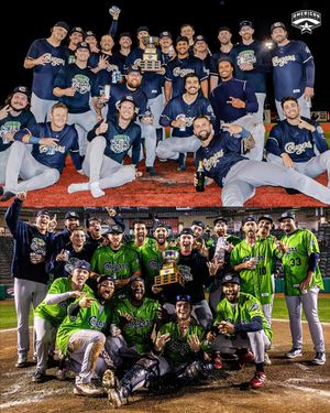 Image post by @americanassociation on Instagram