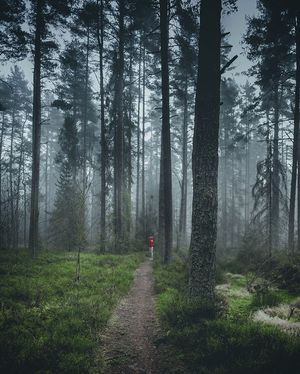 Image post by @kszczuka on Instagram