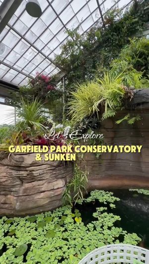 Video post by @visitindy on Instagram