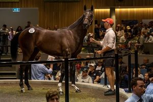 Image post by @juddmonte on Instagram