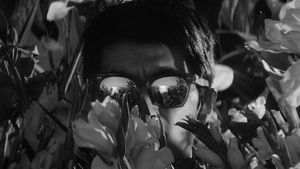 Image post by @letterboxd on Instagram