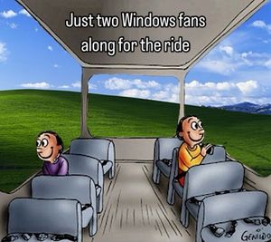 Image post by @windows on Instagram