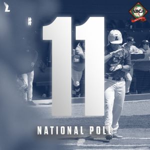 Image post by @leeubaseball on Instagram