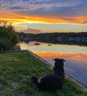 Image post by @michaelspruit on Instagram