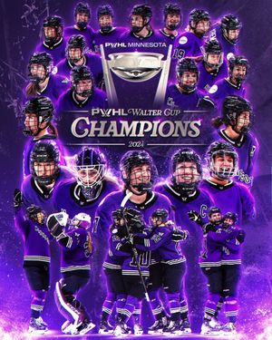 Image post by @PWHL_Minnesota on Twitter