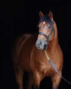 Image post by @coolmoreamerica on Instagram