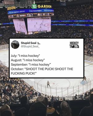 Image post by @hockeytrolls on Instagram