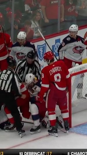 Video post by @hockeyfights on Instagram