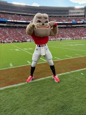 Image post by @ugahairydawg on Instagram