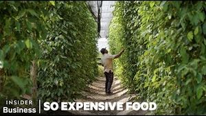 Video post by @businessinsider on YouTube