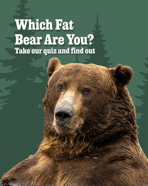 Image post by @outsidemagazine on Instagram