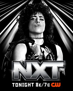Image post by @wwenxt on Instagram