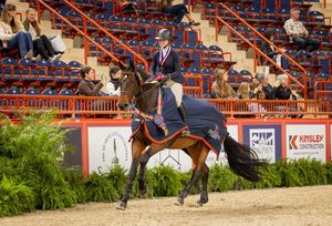 Image post by @usequestrian on Instagram