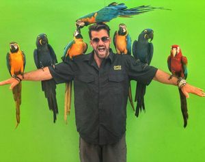 Image post by @johnnybananas on Instagram