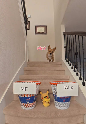 Video post by @aircorg on TikTok