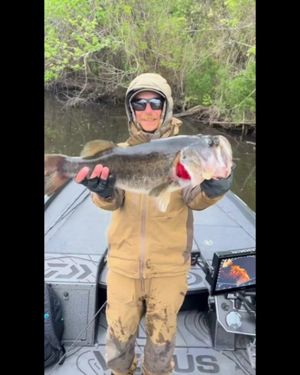 Image post by @zmanfishingproducts on Instagram