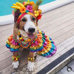 Image post by @ig0rleal on Instagram