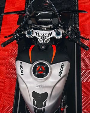 Image post by @panigalers on Instagram