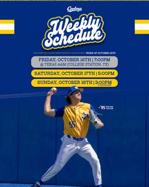 Image post by @mcneesebaseball on Instagram