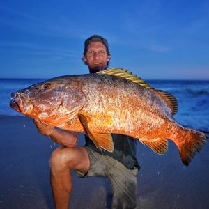 Image post by @cabosurfcaster2 on Instagram