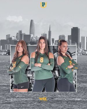 Image post by @usfdonsvb on Instagram