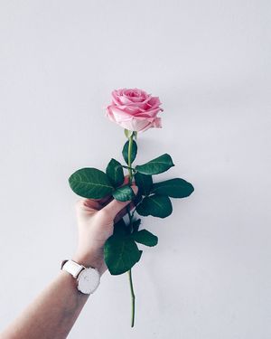 Image post by @kate.simple.life on Instagram