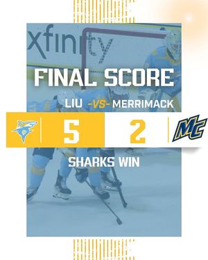 Image post by @liumhockey on Instagram