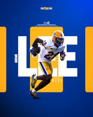 Image post by @Pitt_FB on Twitter