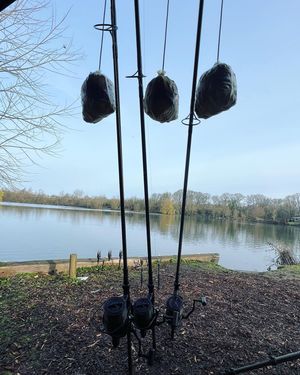 Image post by @brothercarp on Instagram