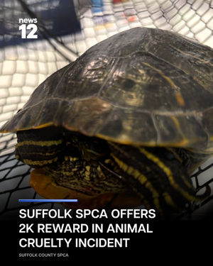 Image post by @news12li on Instagram