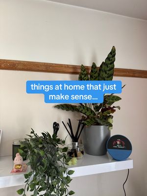 Video post by @amazonalexauk on TikTok