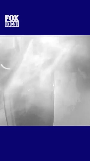 Video post by @fox6now on Instagram
